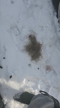 VideoCapture_20200212-083951.jpg