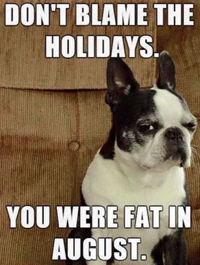 Fat.png