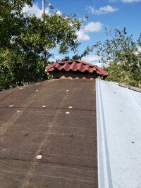 20201219_135330.jpg