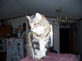 100_0240.JPG