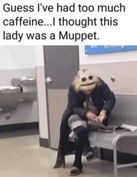 Muppet.jpg
