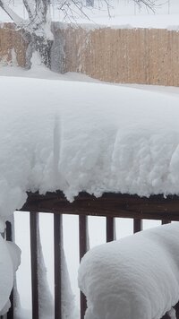 20210314_163738.jpg