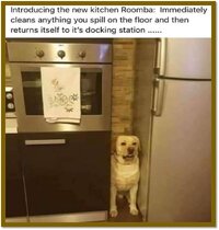 Roomba.jpg