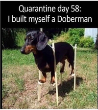 1618260231583.png