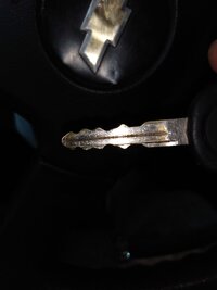 IMG_20210415_091327976.jpg