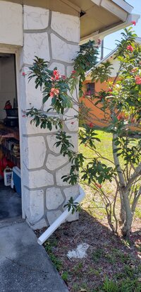 20210509_113710 (1).jpg