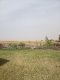 20210518_170836.jpg