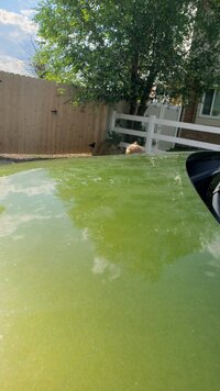 20210703_173340.jpg