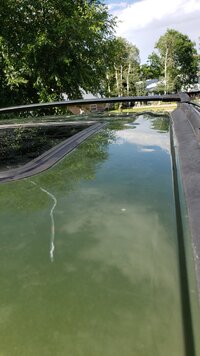 20210703_173403.jpg