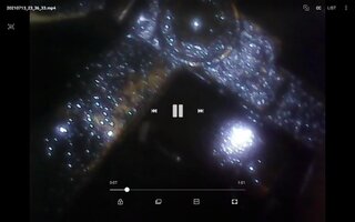 Screenshot_20210713-235021_Video Player.jpg