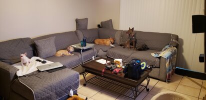 20210812_180631.jpg