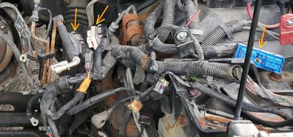 P10PCMHARNESSCONNECTORS.jpg