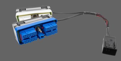 BENCHFORCEP10HARNESS2.jpg