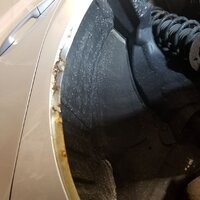 DriversRearPre.jpg