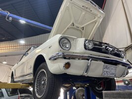 08D11392-3103-45AF-B59D-AECBEF1A1094.jpeg