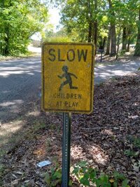 Slow Children.jpg