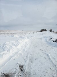 20221106_115518.jpg