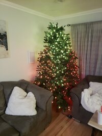 20221109_203018.jpg