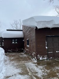 IMG_1672.jpg