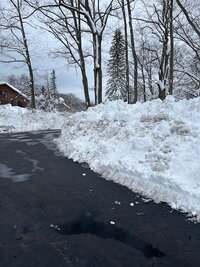 IMG_1673.jpg