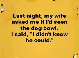 FB_IMG_1646269221245.jpg