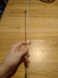 20230119_093733.jpg