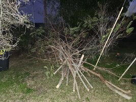 20230125_183556.jpg