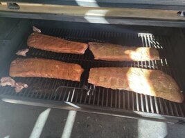 IMG_20230212_124526.jpg