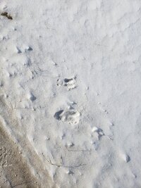 20230225_110106.jpg