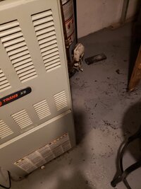 20230226_064924.jpg