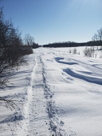 20230312_150457.jpg