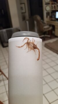 20230420_212144.jpg