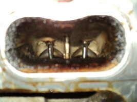 42761946704_f17f915560_c.jpg