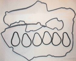 GMOEMVALVECOVERGASKETS2.jpg