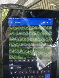 IMG_1959.jpeg