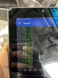 IMG_1961.jpeg