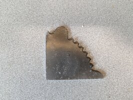PXL_20230719_214812360.jpg
