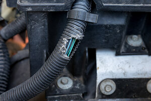rodent-damage-repairs.jpg