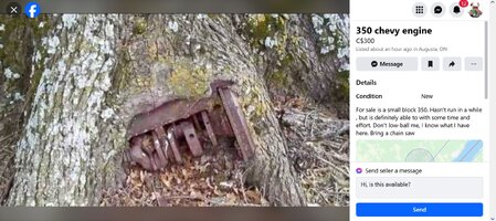 Tree_gine.jpg