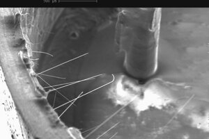 tin+whiskers-76535869.jpeg