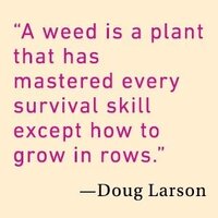 weeds.jpg