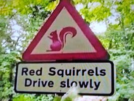 A_Red.jpg