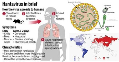 Hanta-Virus.jpg Hanta-Virus.jpg