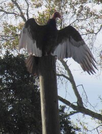 IMG_8290.jpg