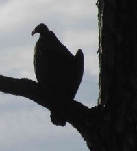 IMG_8286.jpg
