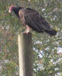 IMG_8284.jpg