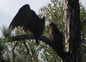 IMG_8283.jpg