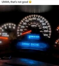 1000003003.jpg