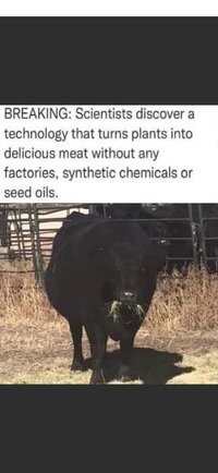 1711984105405.jpeg