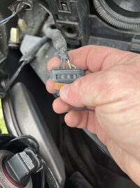 IMG_9012.jpeg